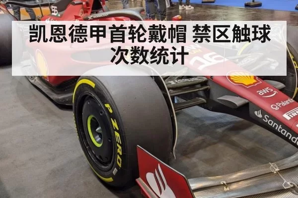 凯恩德甲首轮戴帽 禁区触球次数统计